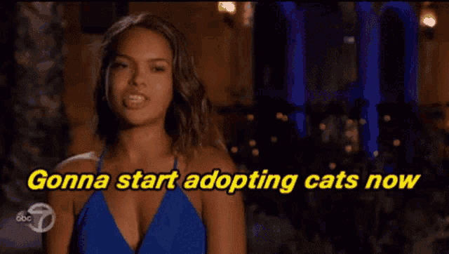 a woman in a blue dress with the words gonna start adopting cats now above her