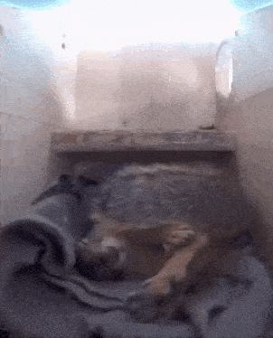 a dog is laying in a cage with a blanket on top of it .