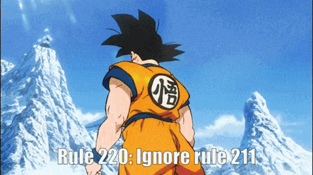 a picture of a dragon ball z character with the words rule 220 ignore rule 211
