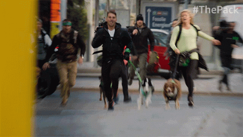 Running The Pack GIF - Running The Pack Crossing The Street GIFs