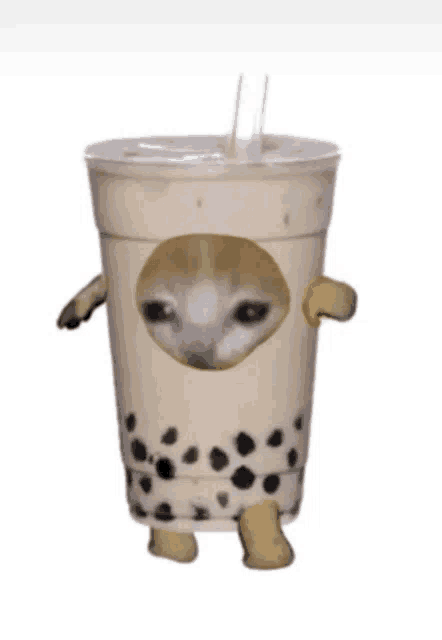 a cup of bubble tea with a cat on it