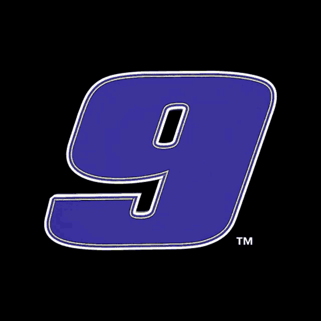 a blue and white logo that says napa on it