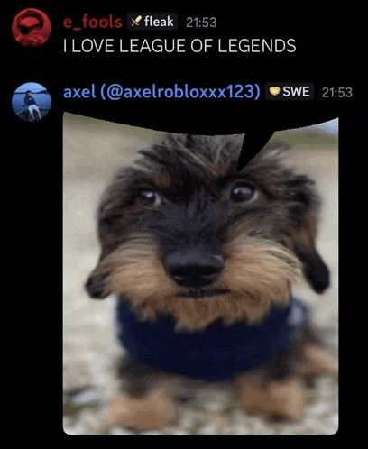 a picture of a dog with a speech bubble that says league of legends