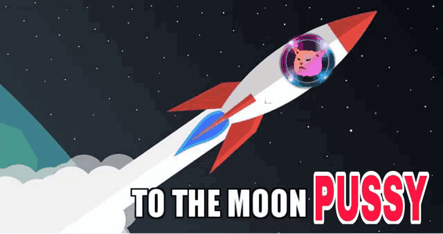 a rocket is flying through space with the words to the moon pussy on the bottom