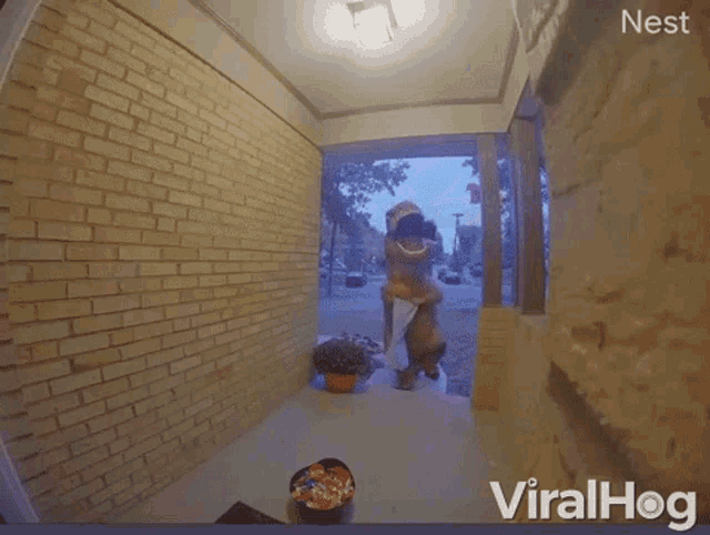 Trick Or Treat Grab GIF - Trick Or Treat Grab Hungry GIFs