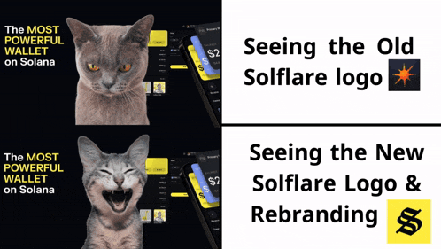 a picture of a cat with the words " the most powerful wallet on solana " above it