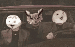 a man is driving a car with three masks on his face .