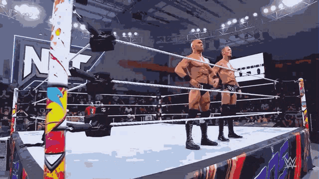 two men are standing in a wrestling ring with the letter n on the wall behind them