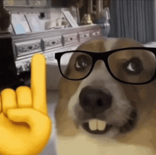 a dog is wearing glasses and giving a rock on sign