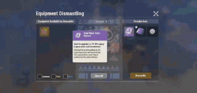 a screenshot of a video game that says equipment dismantling