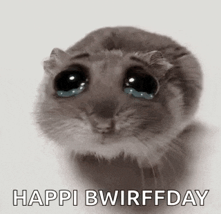 a hamster is crying with tears coming out of its eyes and says happy bwirffday .