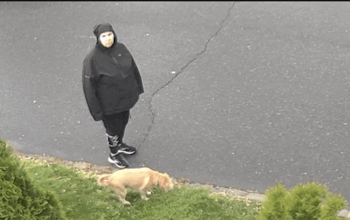 a person wearing a mask is walking a dog