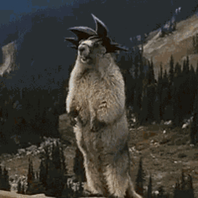 a goat is standing on its hind legs wearing a goku hat .