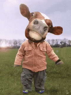 Cow Funny Cow GIF - Cow Funny Cow GIFs