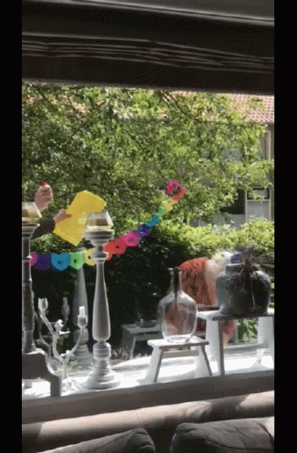 Feestje Annie Party GIF - Feestje Annie Party Come On GIFs