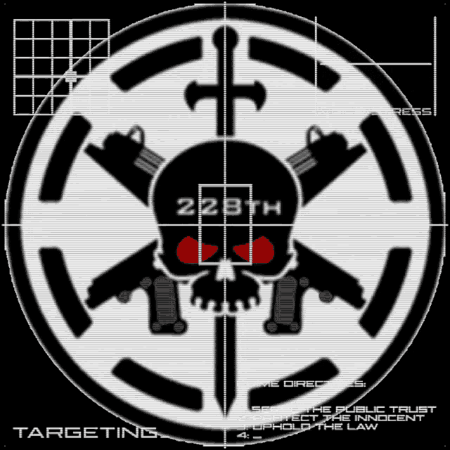 a targeting circle with a skull and guns in it