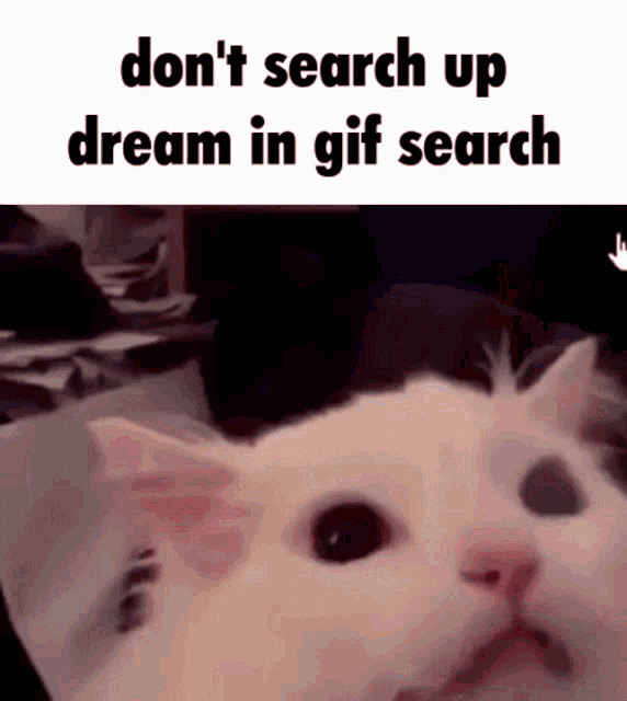 Dream Dont GIF - Dream Dont Search GIFs