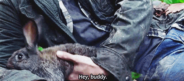 a person holding a small rabbit with the words hey buddy written on it