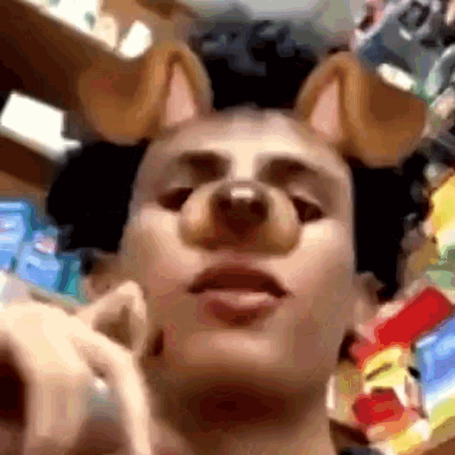 a man is wearing a dog mask on his face while talking on a cell phone .