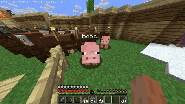 a screenshot of a minecraft game shows a pig named bobc standing in the grass