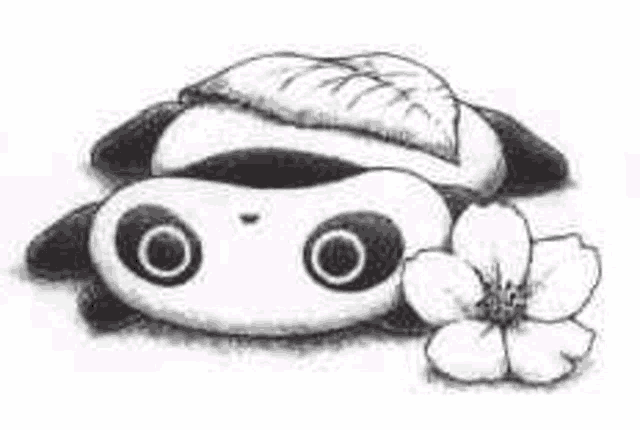 a black and white drawing of a panda bear with a flower in its mouth .