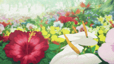 a field of flowers including red and white flowers
