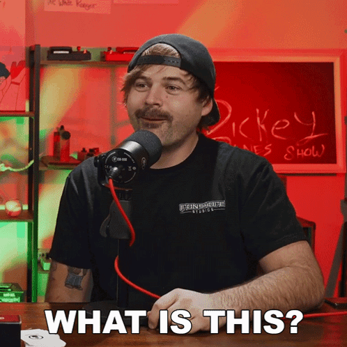 What Is This The Dickeydines Show GIF - What Is This The Dickeydines Show What'S Going On Here GIFs