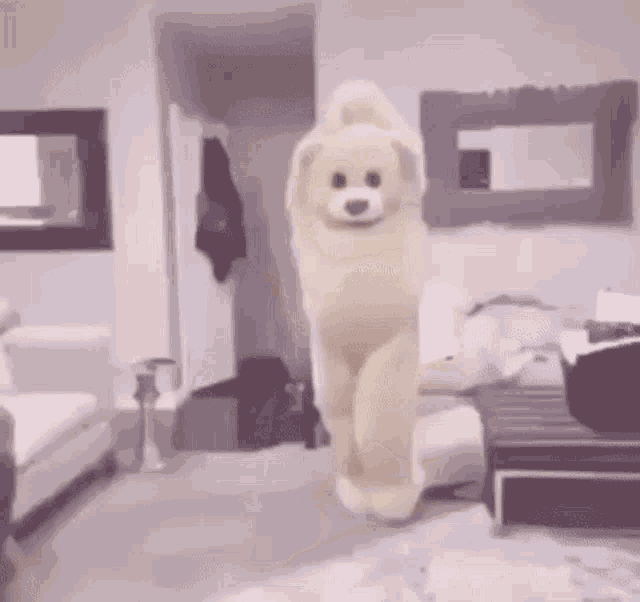 a teddy bear is dancing in a living room in a living room .