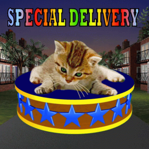 Special Delivery Special Love GIF - Special Delivery Special Love Floating Cat GIFs