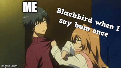 Toradora Black Bird GIF - Toradora Black Bird Discord GIFs