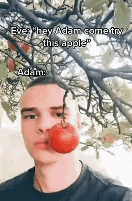Adam Eve GIF - Adam Eve Apple Picking GIFs