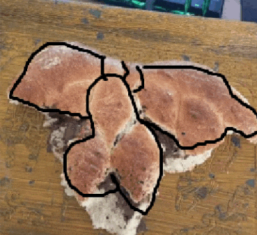 a drawing of a mushroom on a wooden table