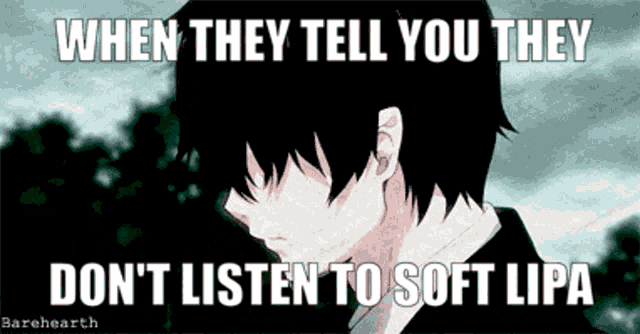 when they tell you they don 't listen to soft lipa