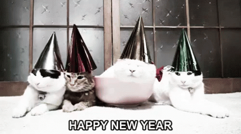 Happy New Year GIF - Happy New Year Cats Lazy GIFs