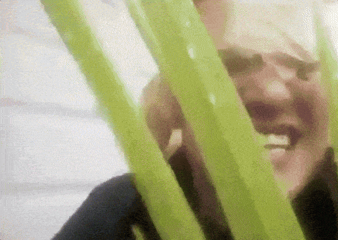 a close up of a person behind a green plant