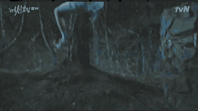 a person in a white shirt is standing in a dark forest with a tvn logo in the background