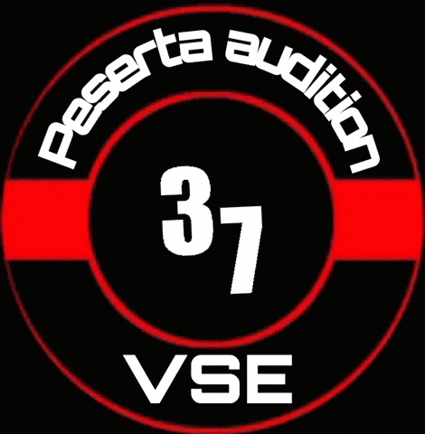 a black and red circle with the number 37 inside of it