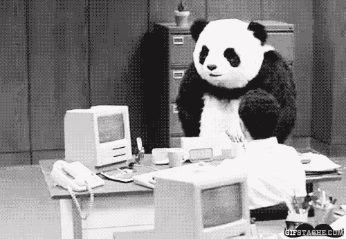 It Is Me Panda Rage GIF - It Is Me Panda Rage Mad GIFs