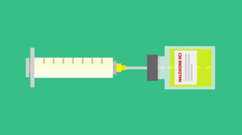 Treatment Life Noggin GIF - Treatment Life Noggin Injection GIFs