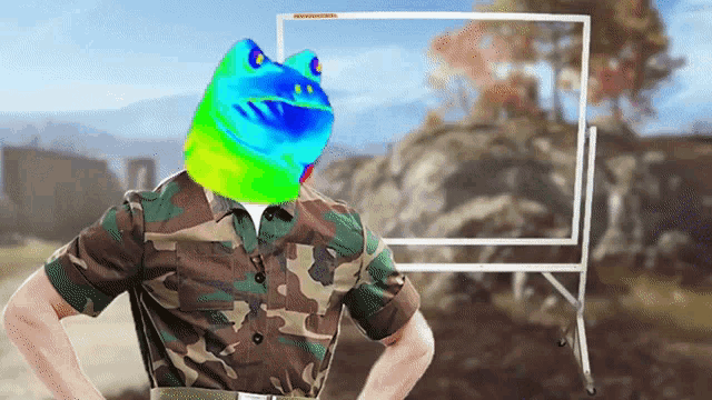 a man in a camouflage shirt has a frog head on his head