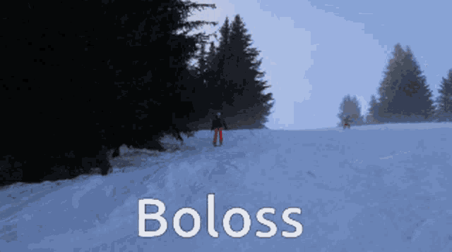 a person skiing down a snowy slope with the word boloss written on the bottom