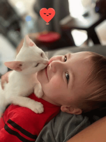 Boy Kitten GIF - Boy Kitten Love GIFs