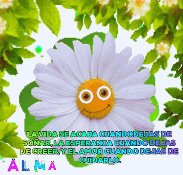 Margarita Florecita GIF