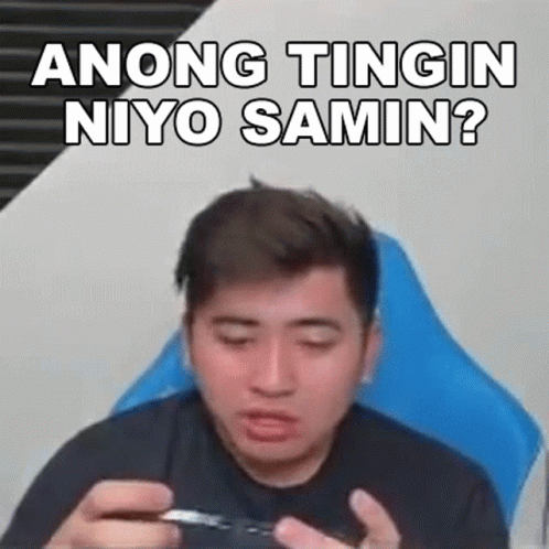 Anong Tingin Niyo Samin Z4pnu GIF - Anong Tingin Niyo Samin Z4pnu Z4pnu Gaming GIFs