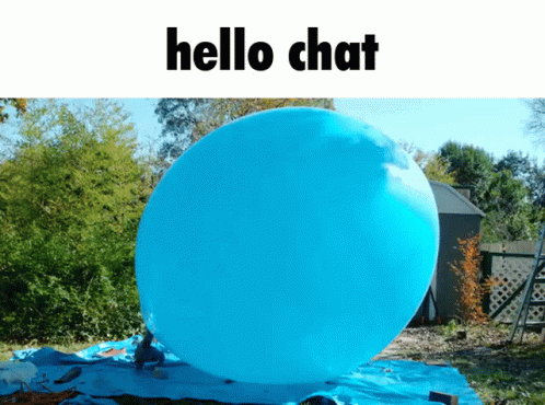 Hello Chat Meme GIF - Hello Chat Meme Shitpost GIFs