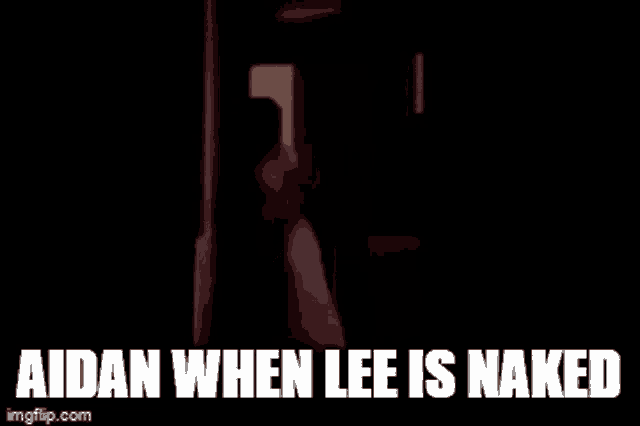 a naked woman is standing in a dark room with the words aidan when lee is naked .