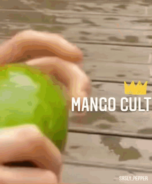 Srslypepper Mango Cult GIF - Srslypepper Mango Cult Aidansarmy GIFs