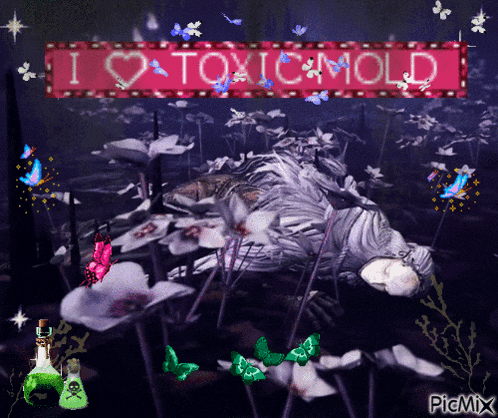 a sign that says " i love toxic mold " is surrounded by butterflies