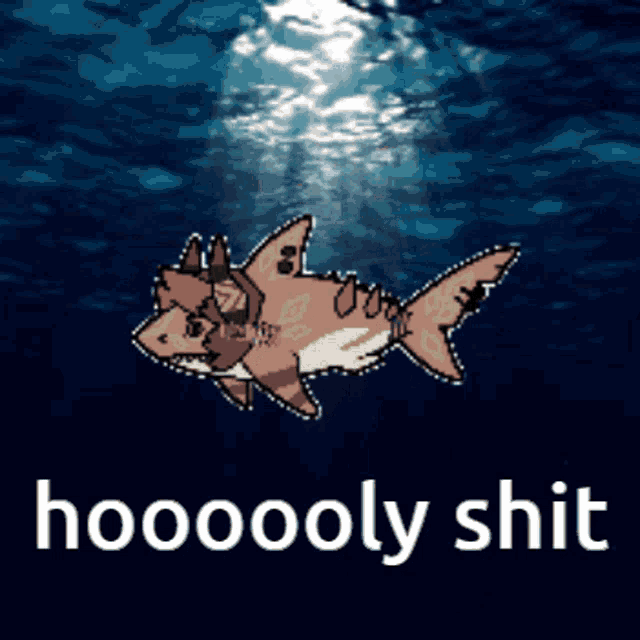 a picture of a shark with the words hoooooly shit written below it