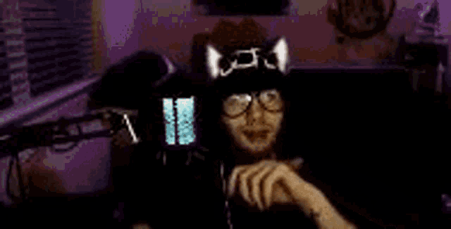 a man wearing a cat hat and glasses is sitting in front of a microphone in a room .